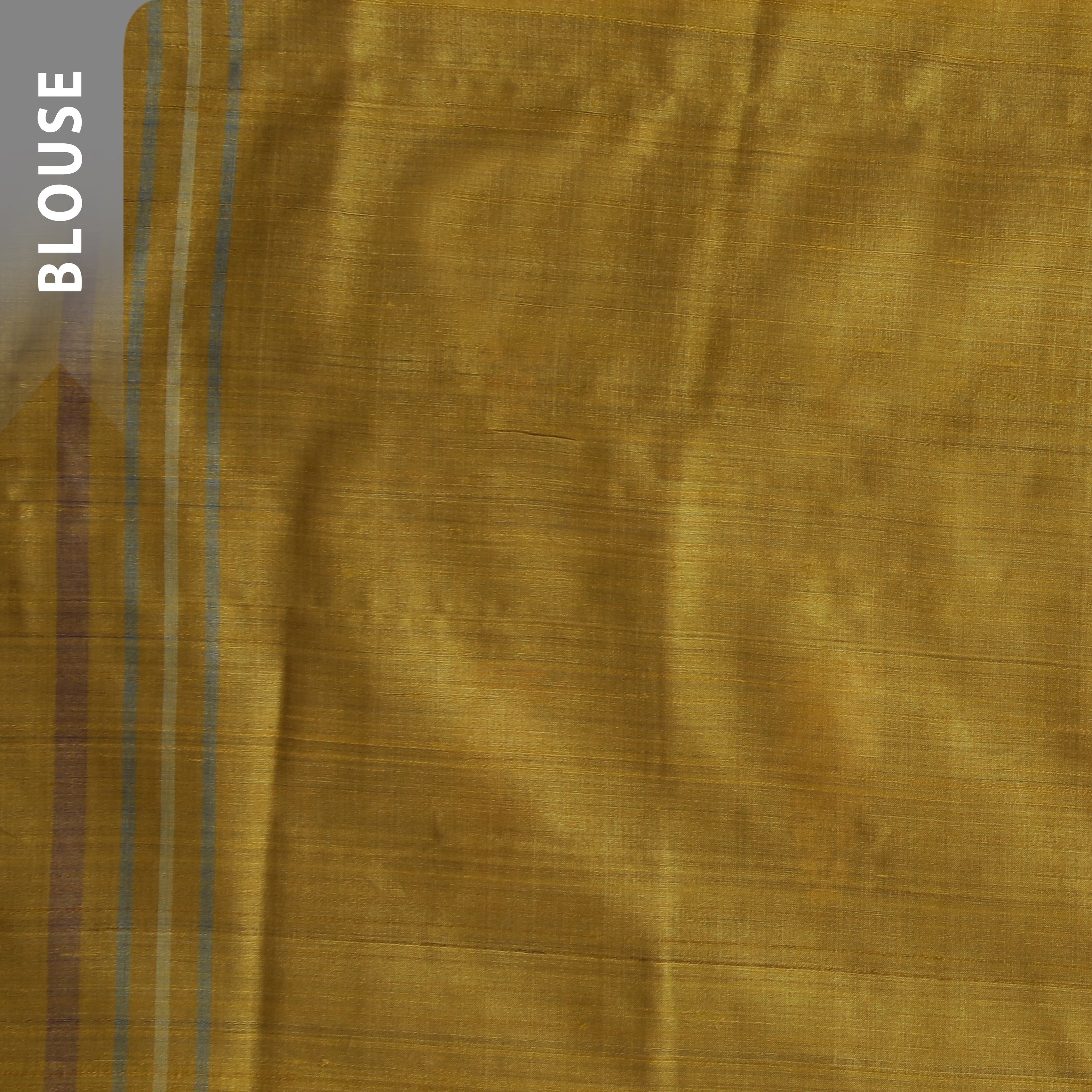Megha Saree