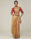 Rekha Saree