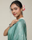 Mayur Saree